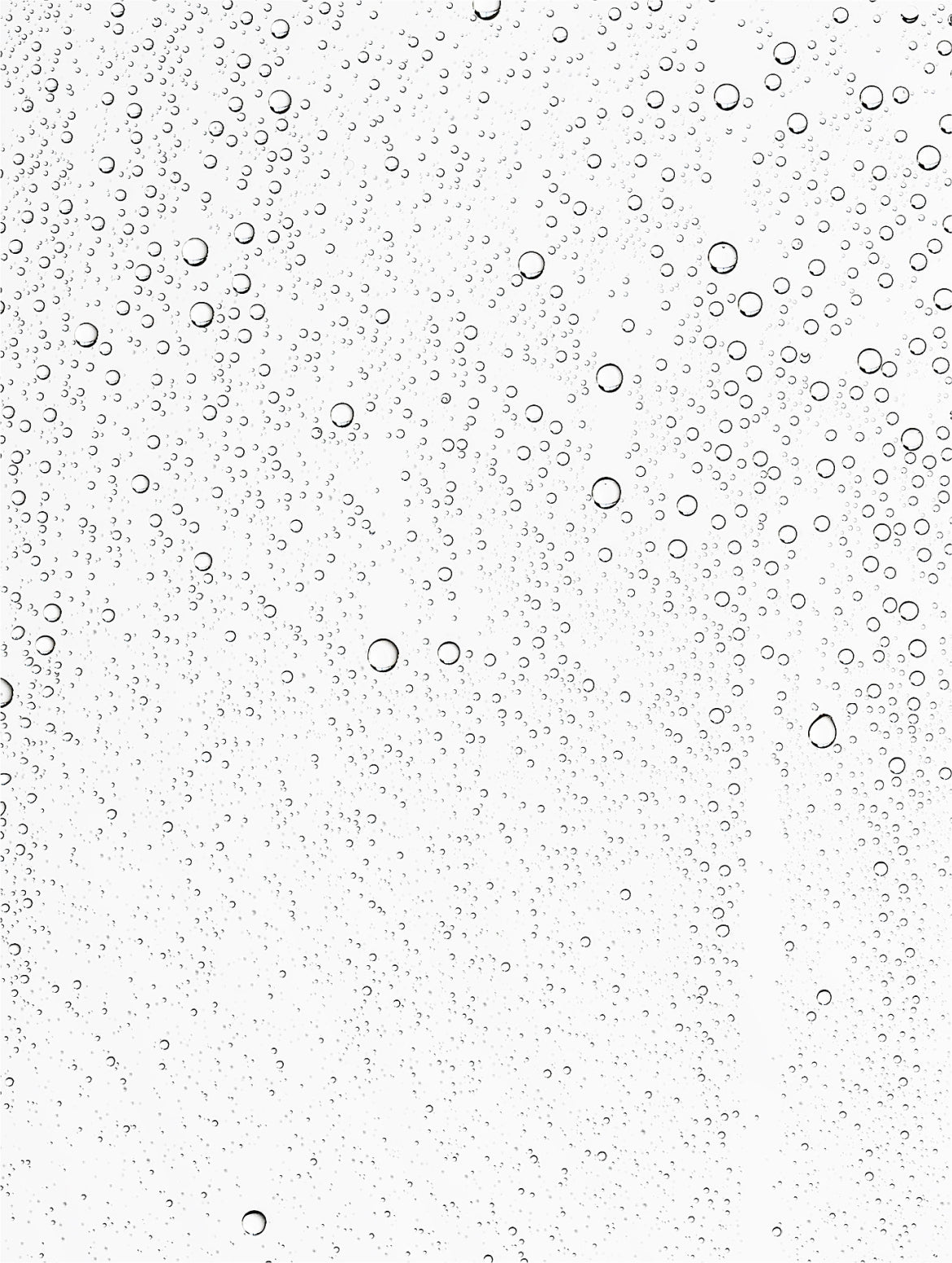 Prebiotic Mist Anwendung